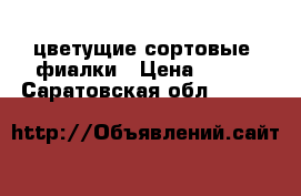 цветущие сортовые  фиалки › Цена ­ 200 - Саратовская обл.  »    